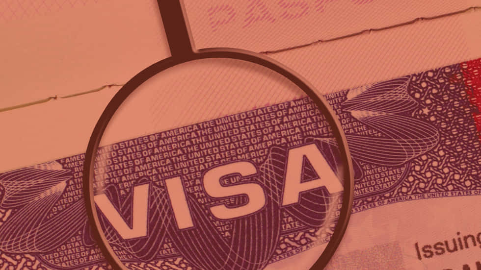 Visa Logo Magnified Wallpaper