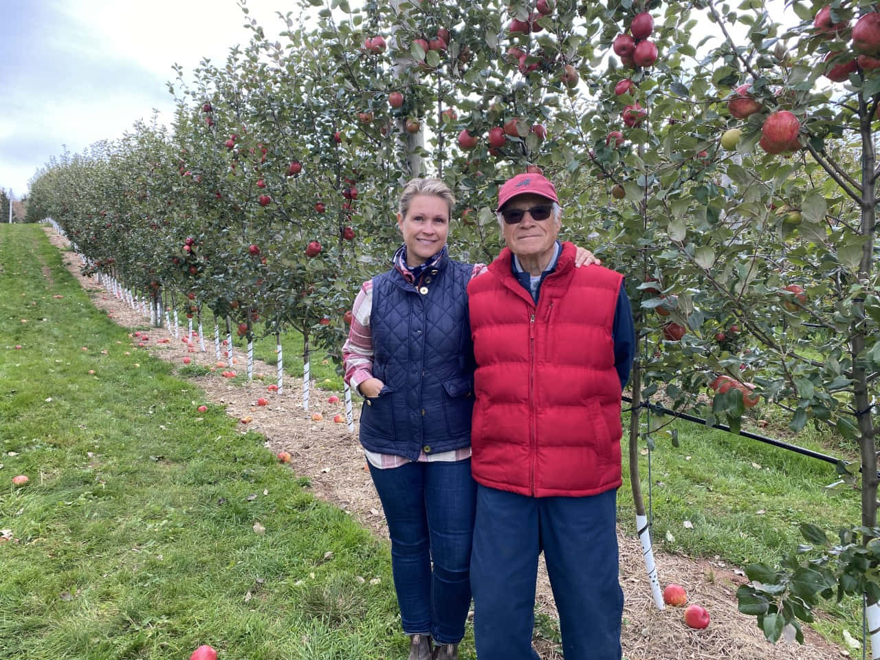 Visitors_at_ Apple_ Orchard Wallpaper