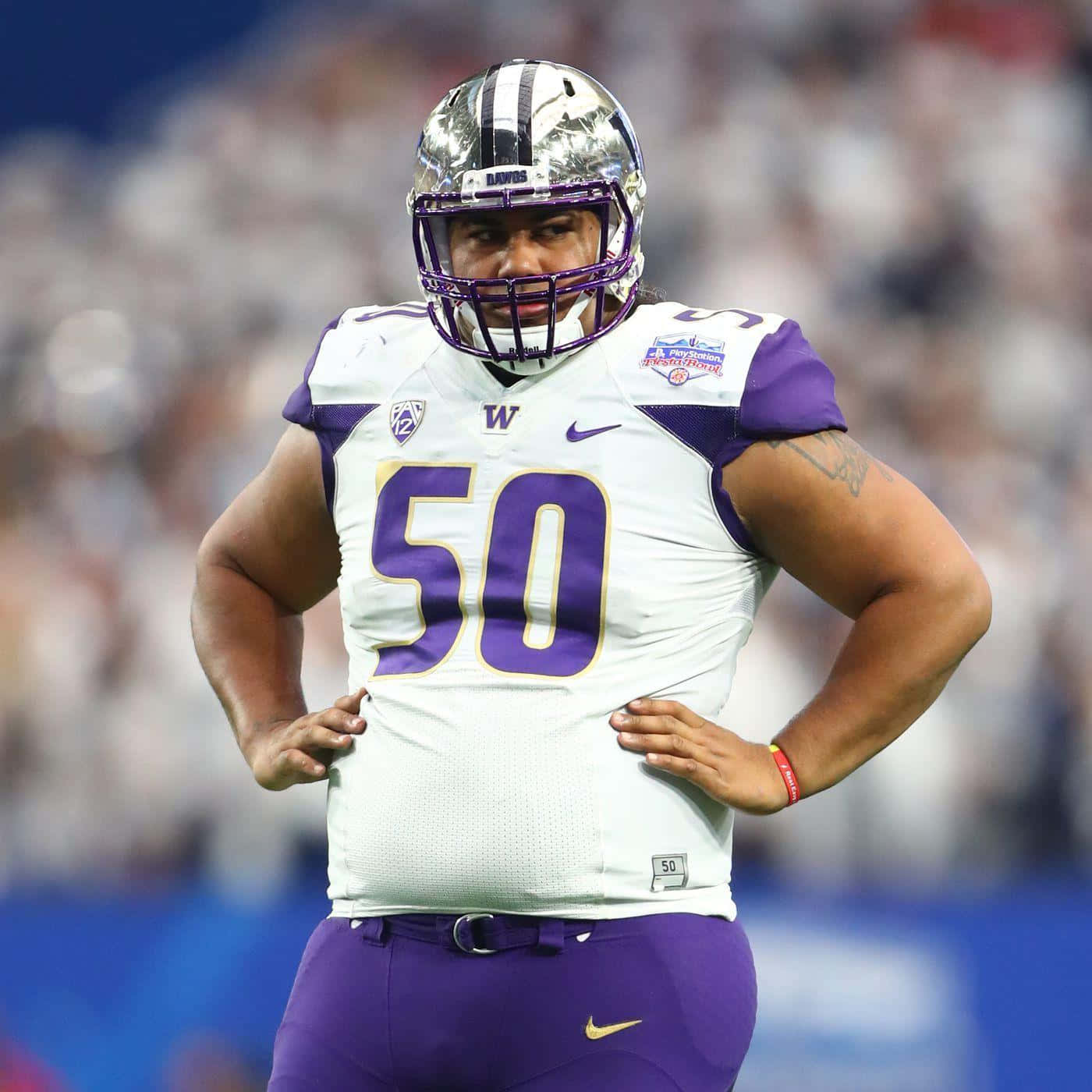 Vita Vea Washington Huskies Football Uniform Wallpaper