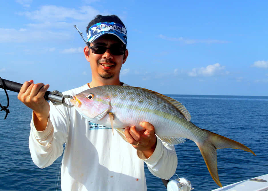 Vivid Yellowtail Snapper In Deep Sea Wallpaper