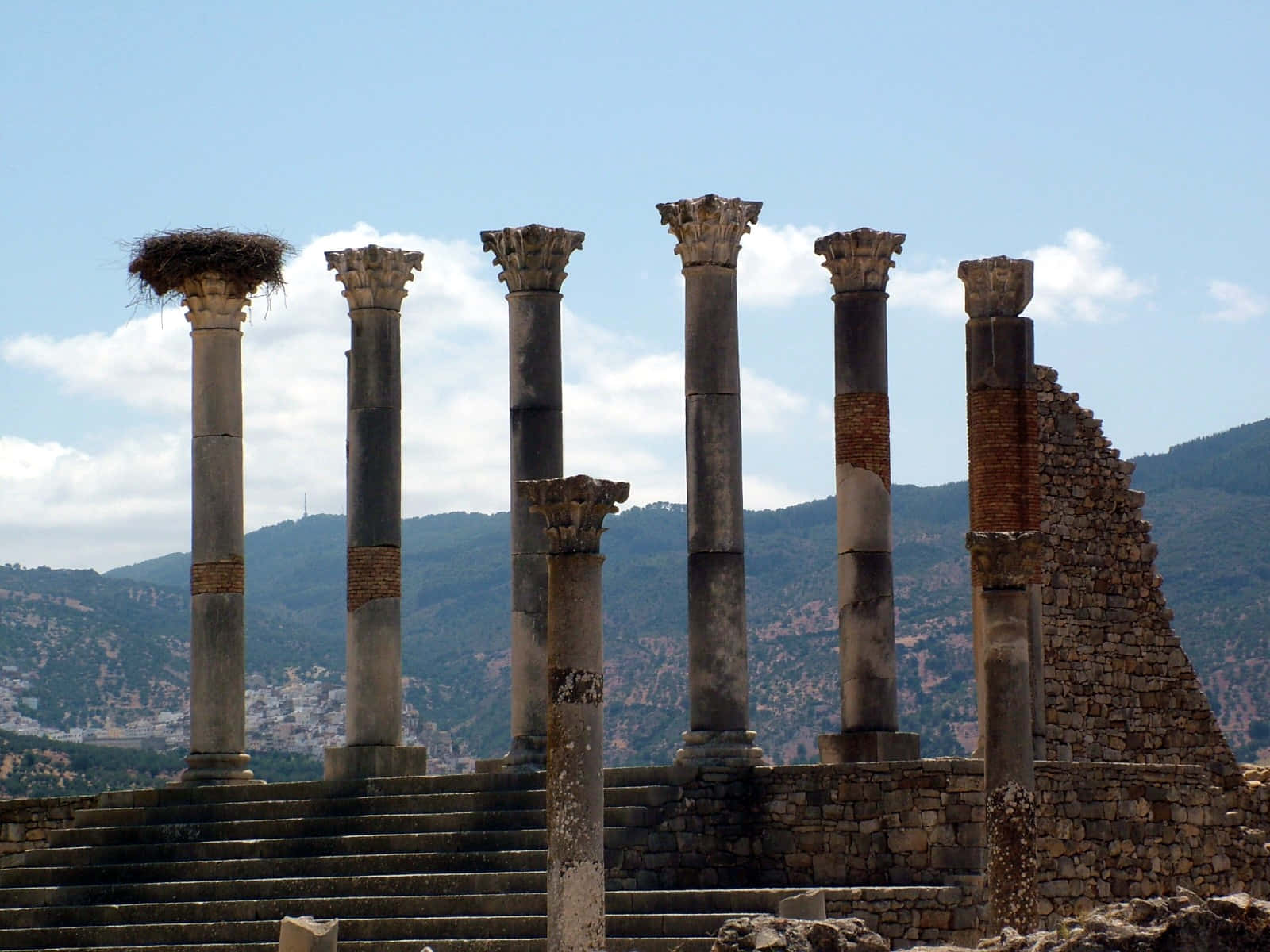 Volubilis Standing Columns Wallpaper