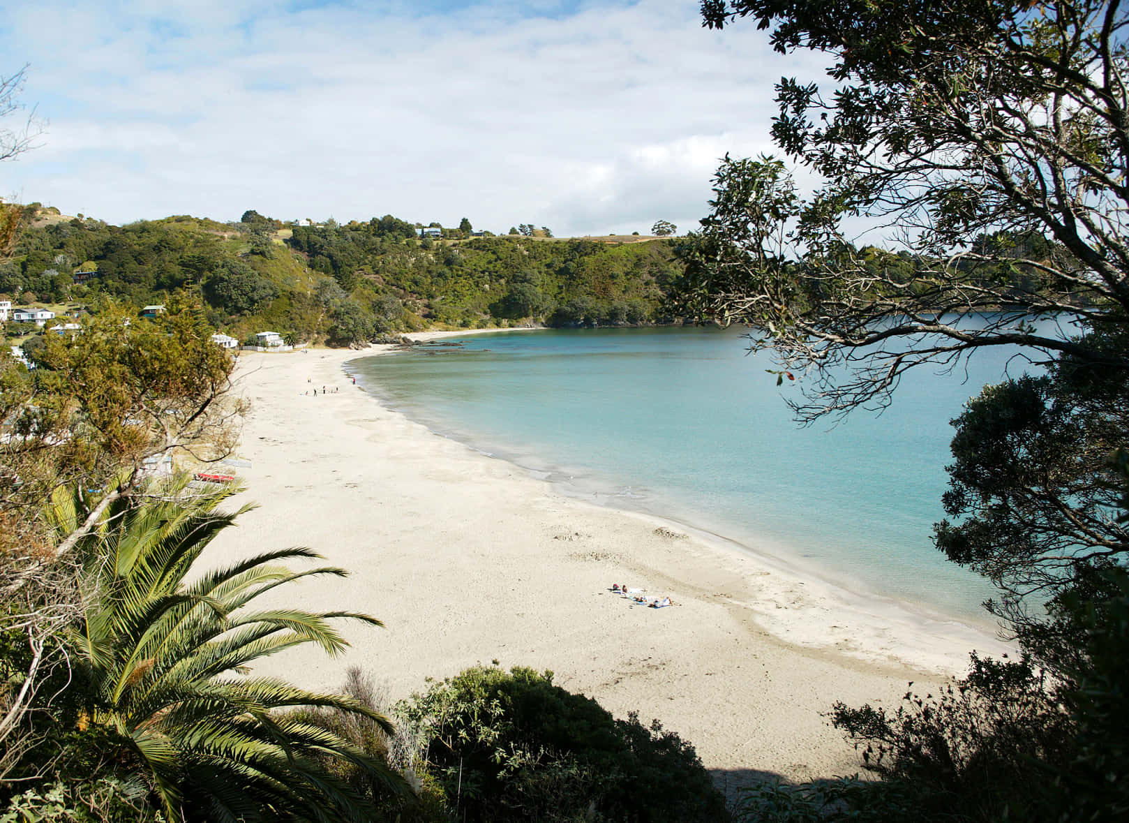 Waiheke Island Beach View Wallpaper