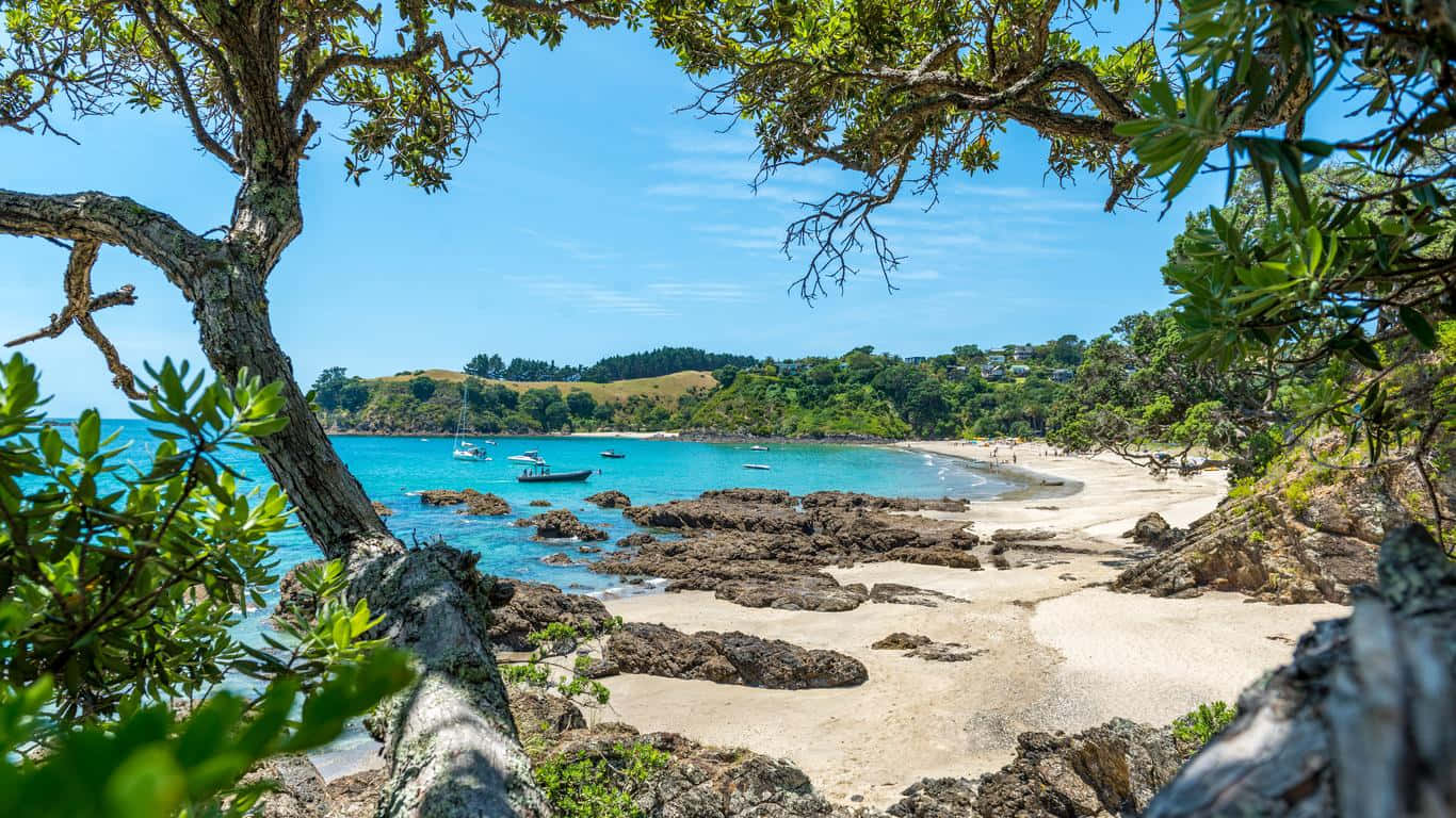 Waiheke Island Beach View Wallpaper