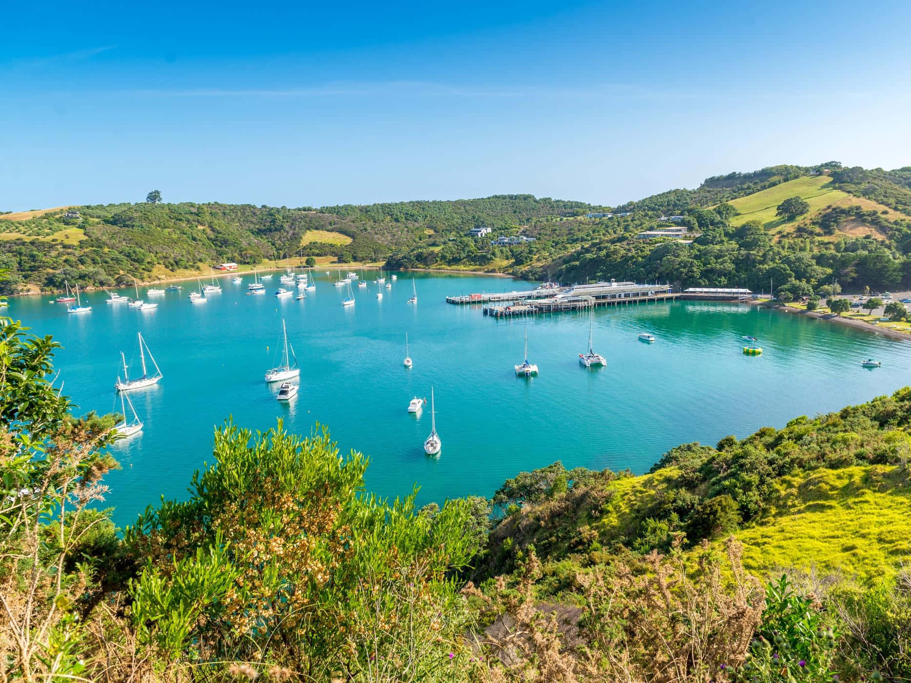 Waiheke Island Marina New Zealand Wallpaper