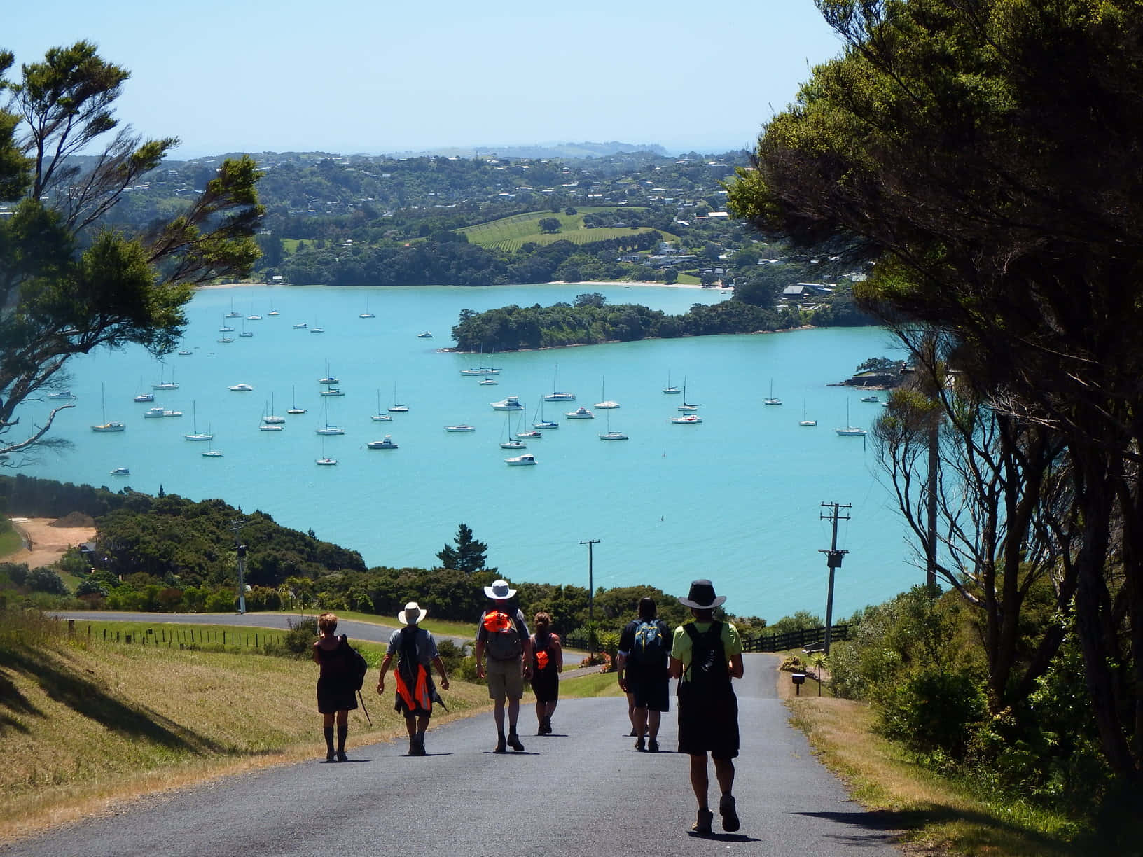 Waiheke Island Walkers View Wallpaper