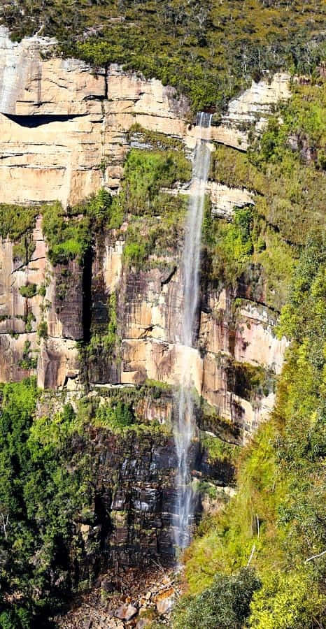 Wander Through The Beauty Of Blue Mountains National Park Wallpaper