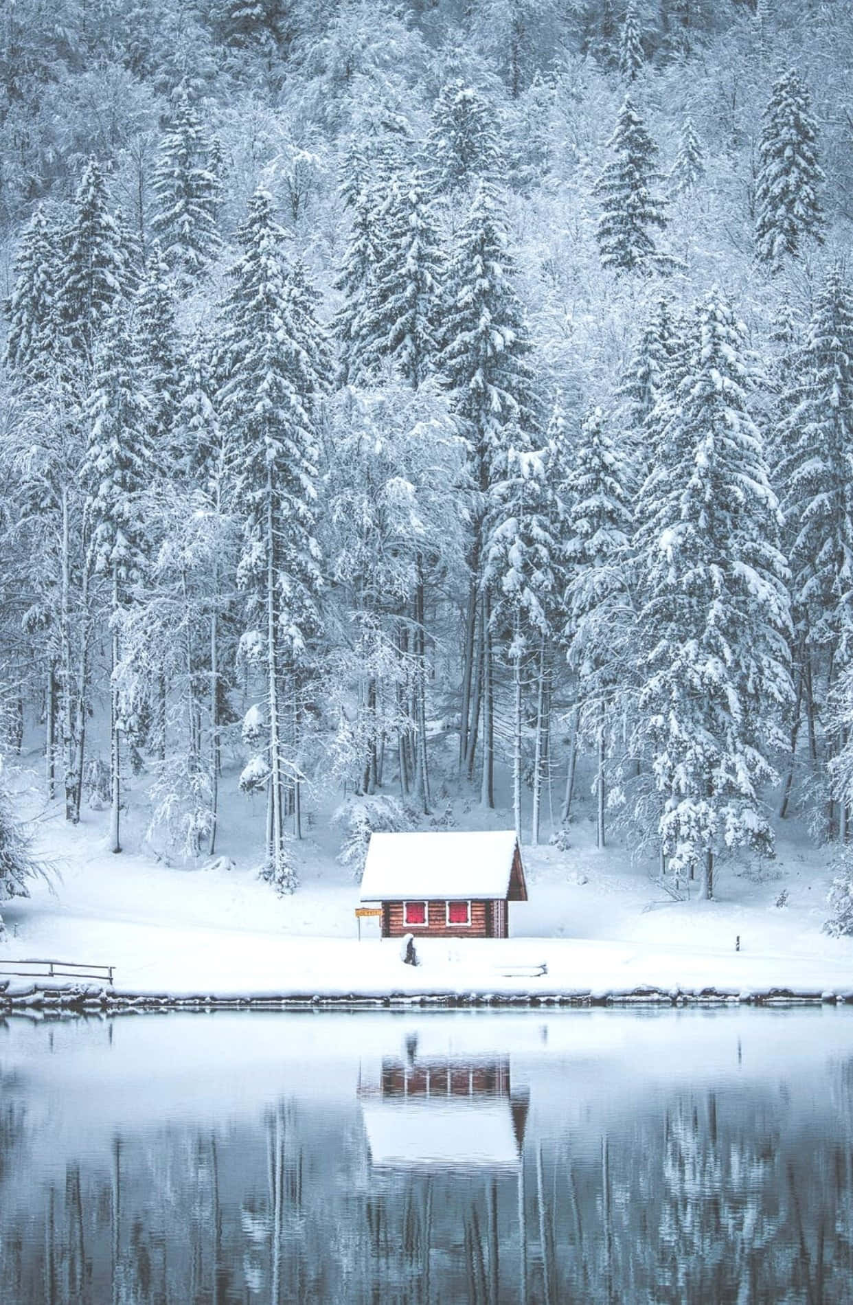 Warm And Charming Cozy Winter Cabin Nestled In Snowy Forest Wallpaper