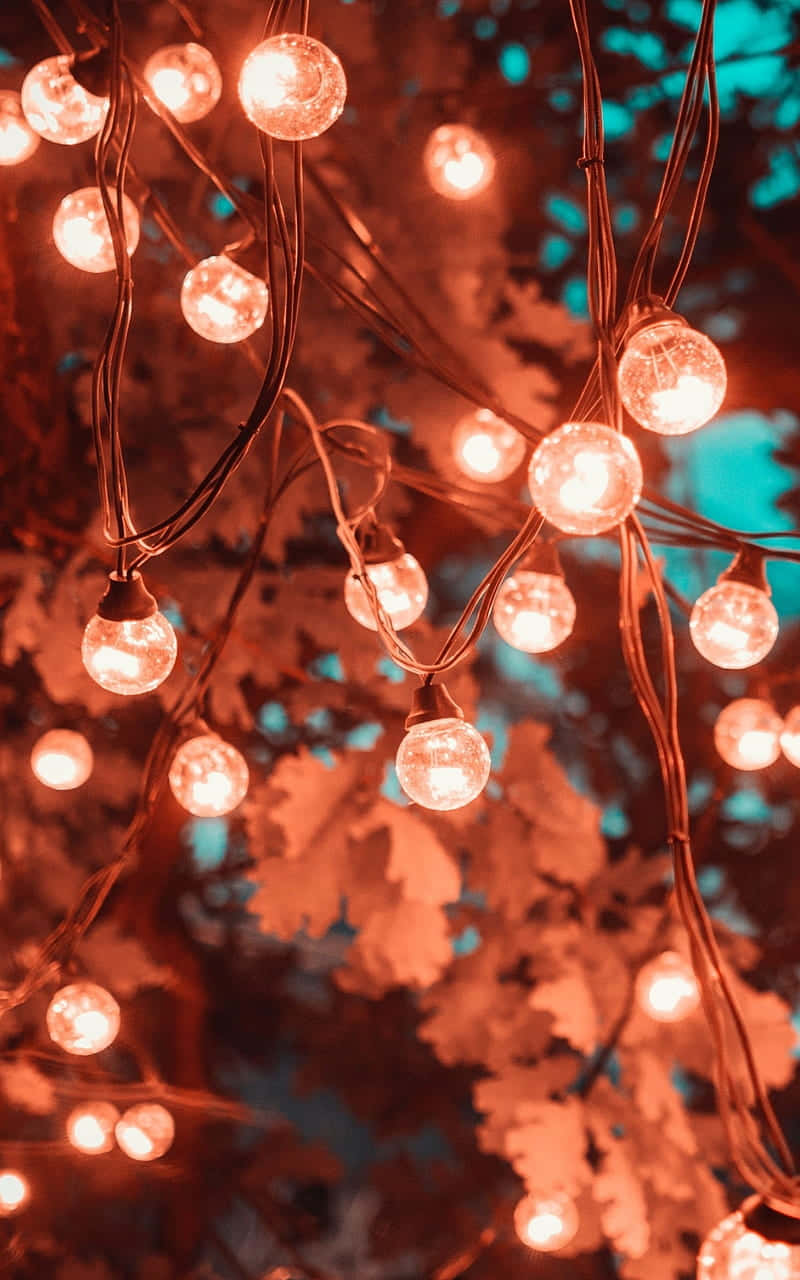 Warm Glow String Lights Aesthetic Wallpaper