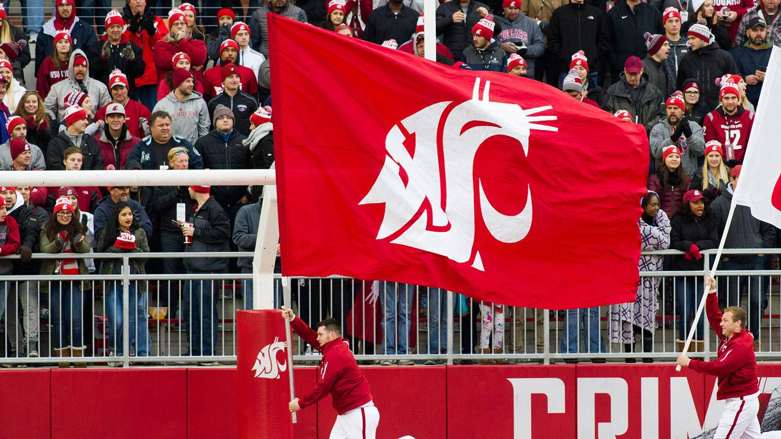 Washington State University Cougars Flag Wallpaper