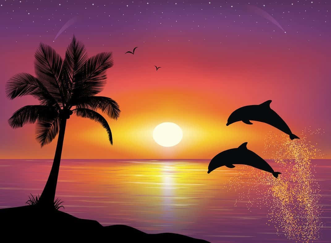 Watch A Magnificent Sunset With Its Newest Admirers. Wallpaper