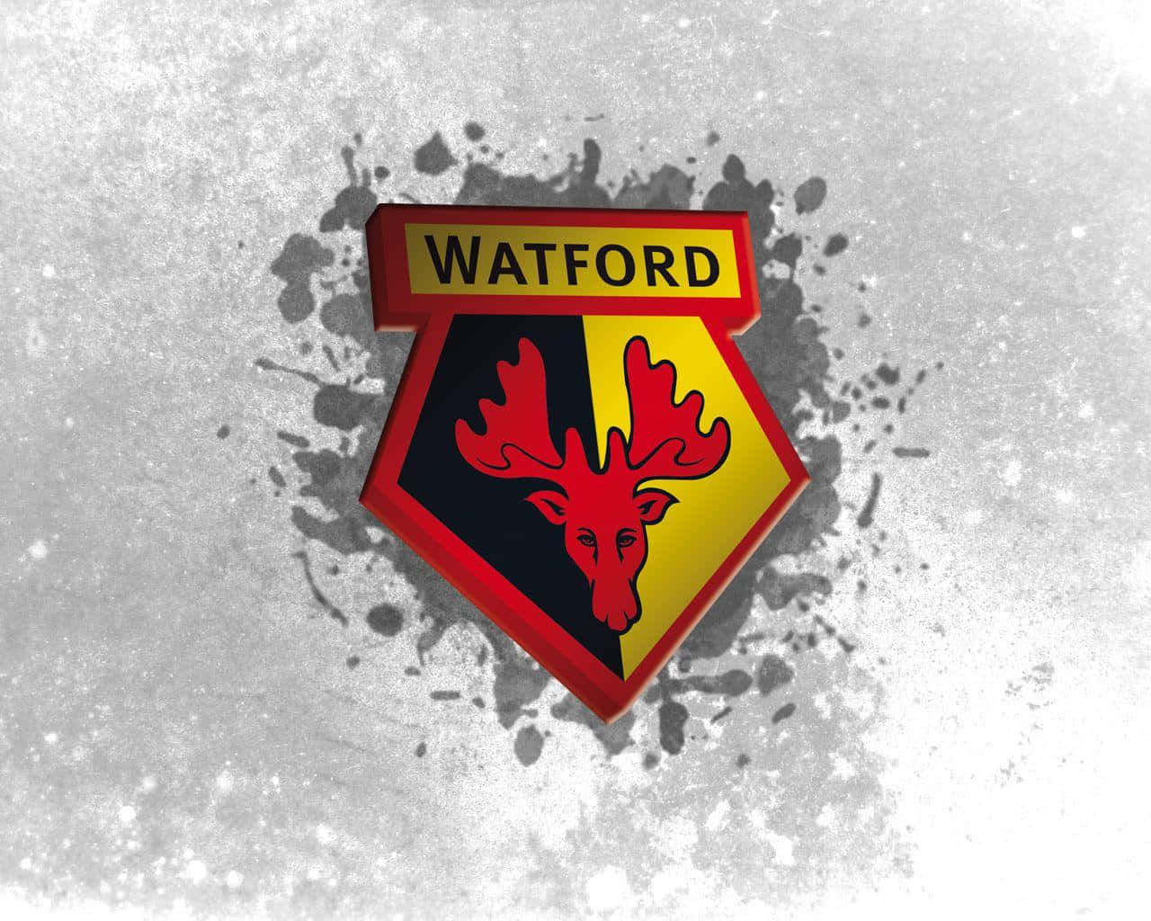 Watford Wallpaper