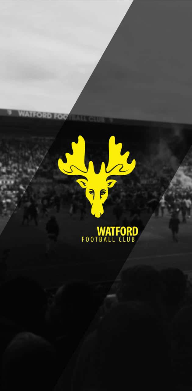 Watford Wallpaper