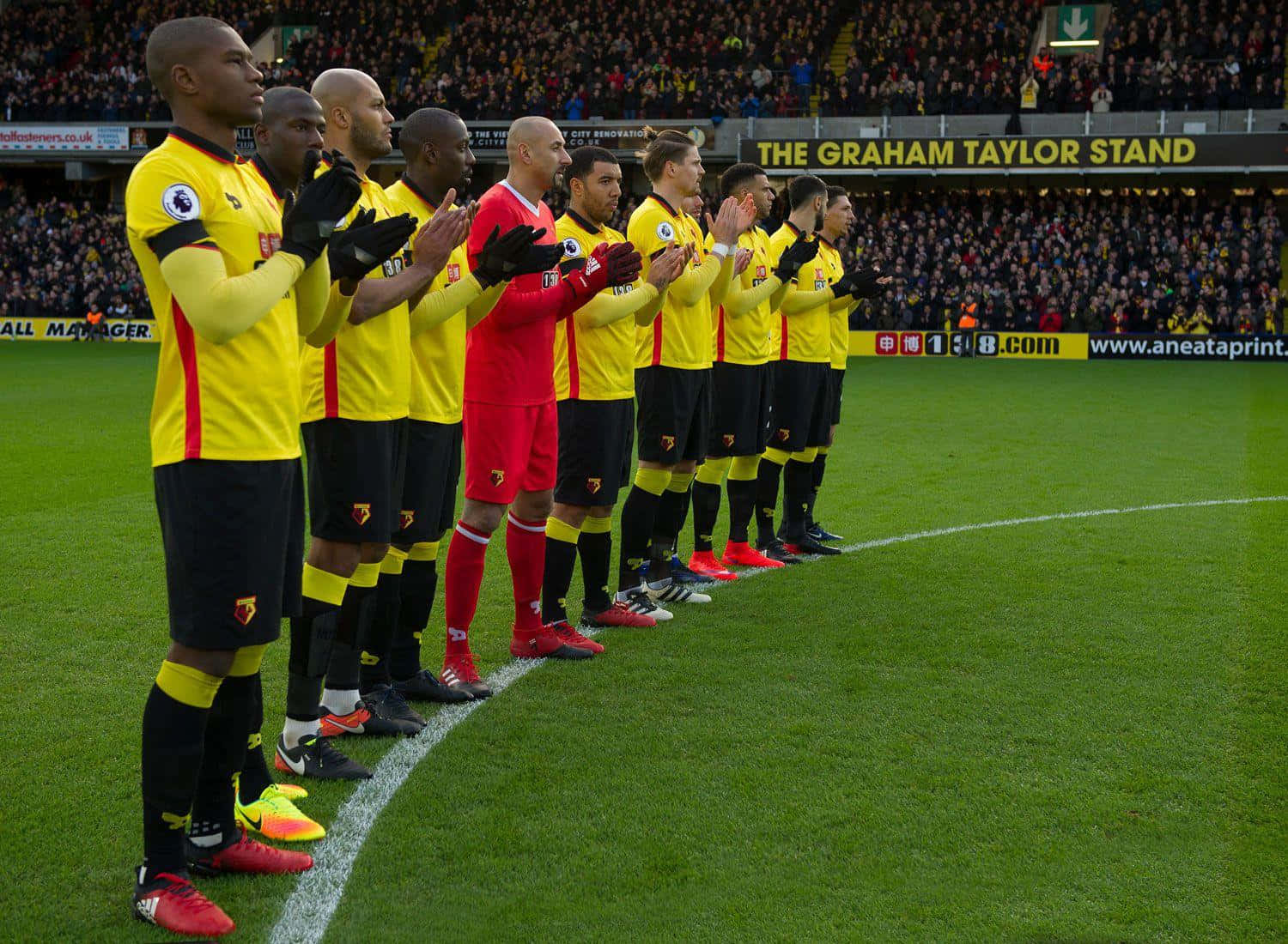 Watford Wallpaper