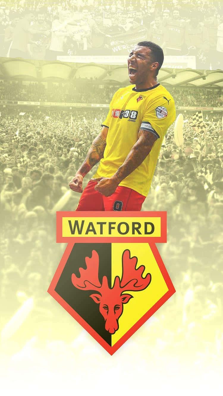 Watford Wallpaper