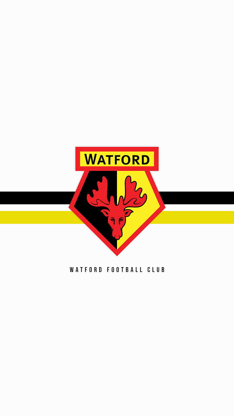 Watford Wallpaper