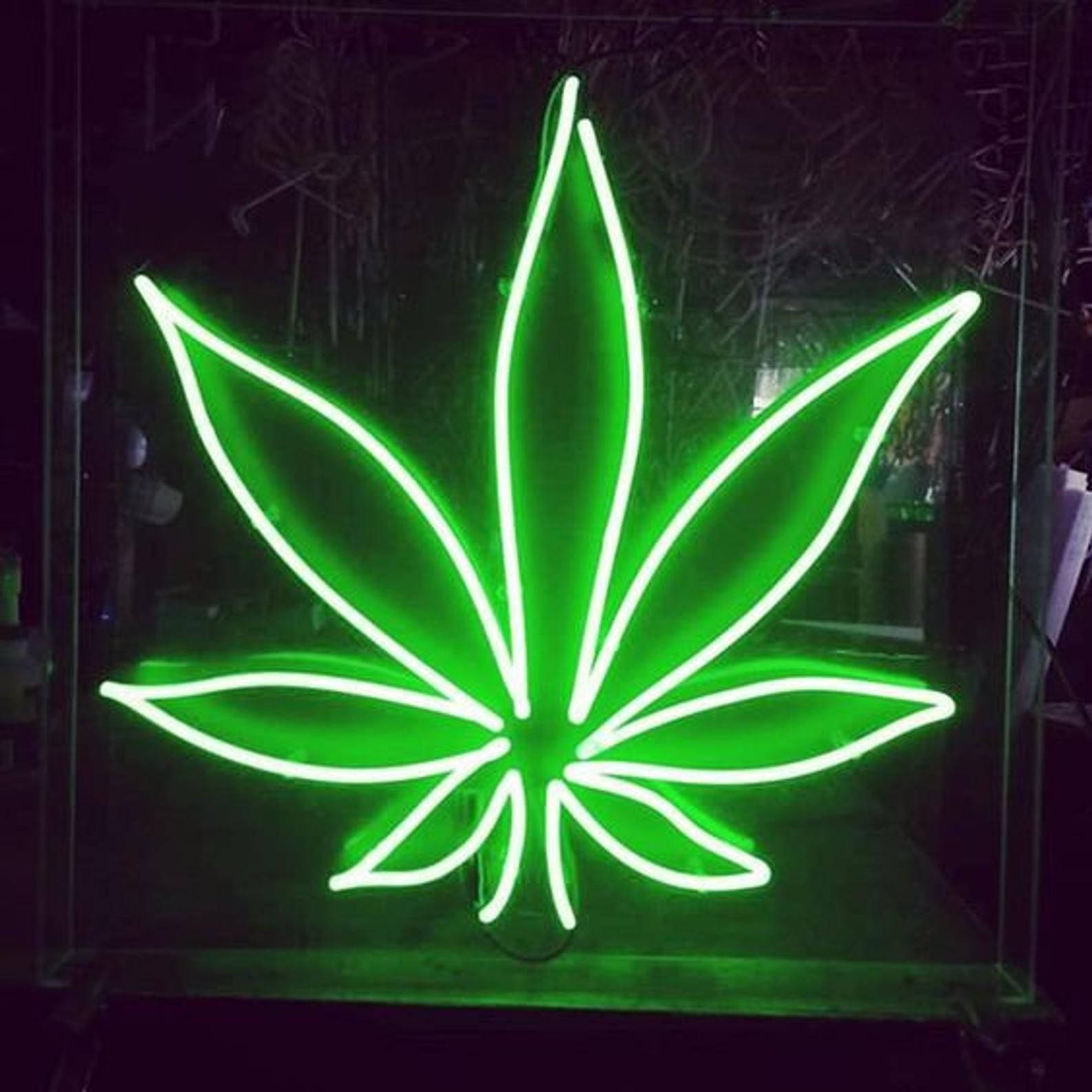 Weed Aesthetic Neon Light Green Wallpaper