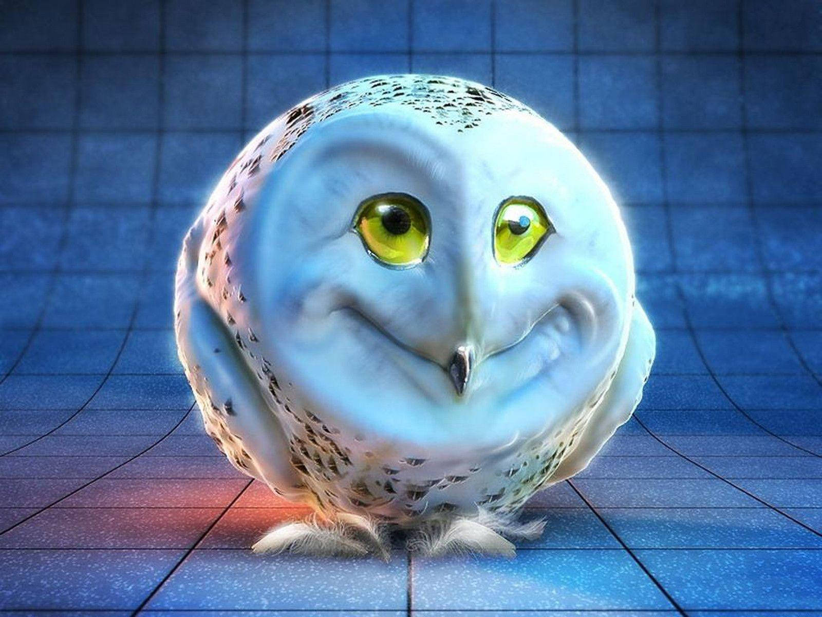 Weird Round Owl Wallpaper