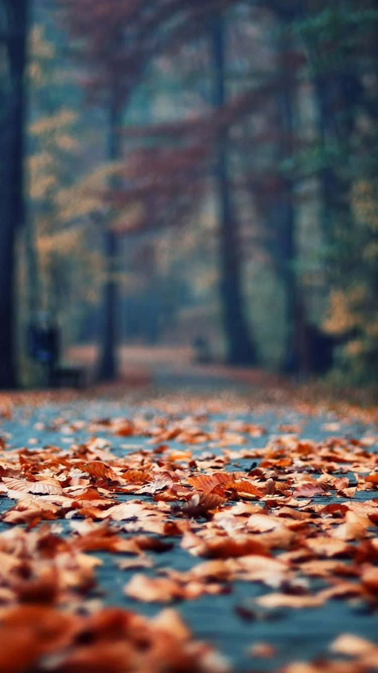 Welcome The Season In Style With This Beautiful Vintage Fall Wallpaper! Wallpaper