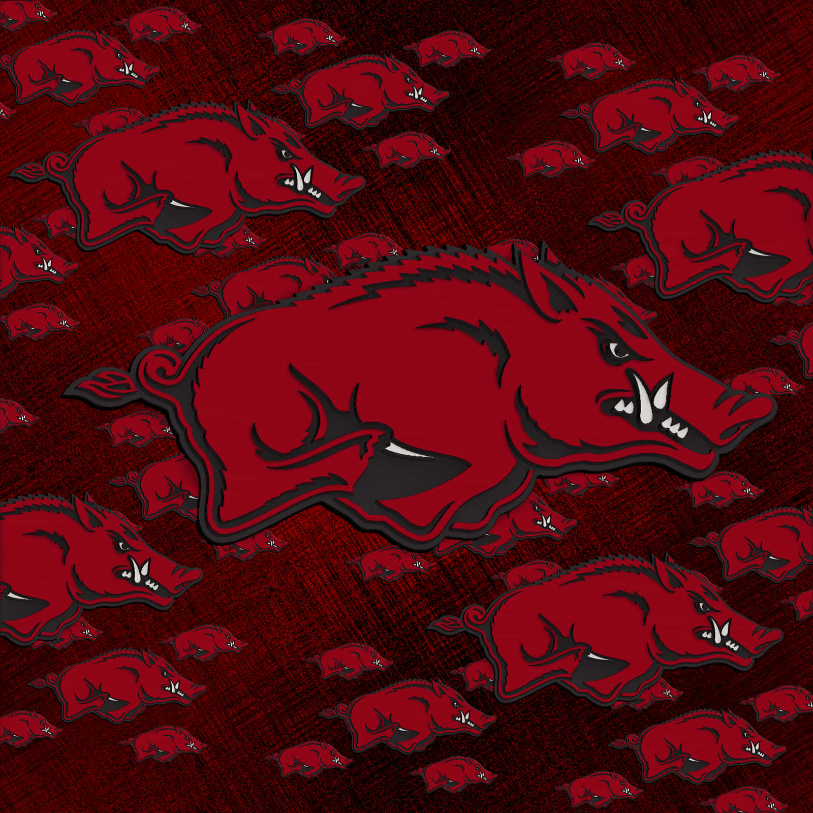 Welcome To The Home Of The Arkansas Razorbacks Wallpaper