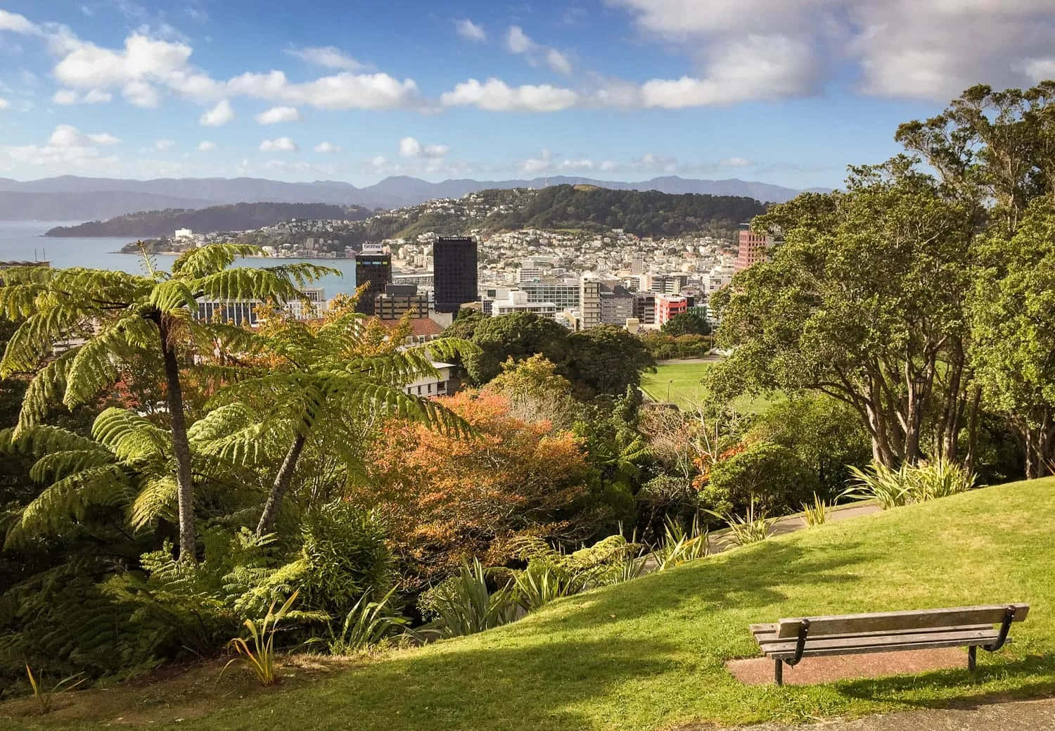 Wellington City Viewfrom Botanic Gardens Wallpaper