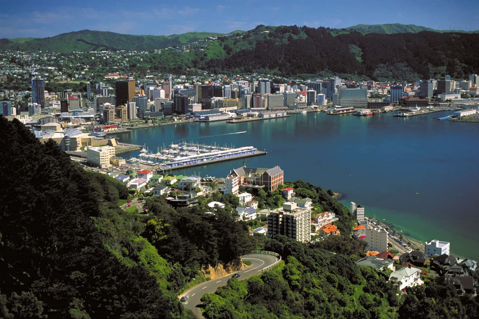 Wellington Cityscape Aerial View Wallpaper