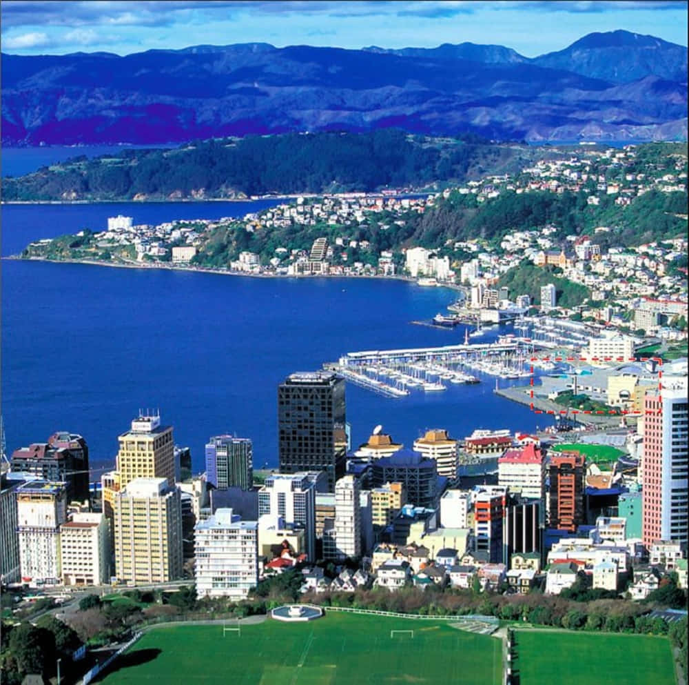 Wellington Cityscapeand Harbor View Wallpaper