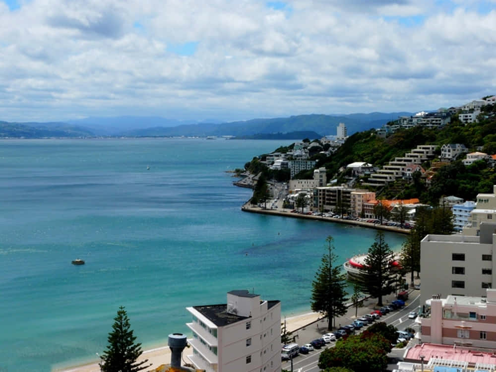 Wellington Coastline View New Zealand Wallpaper