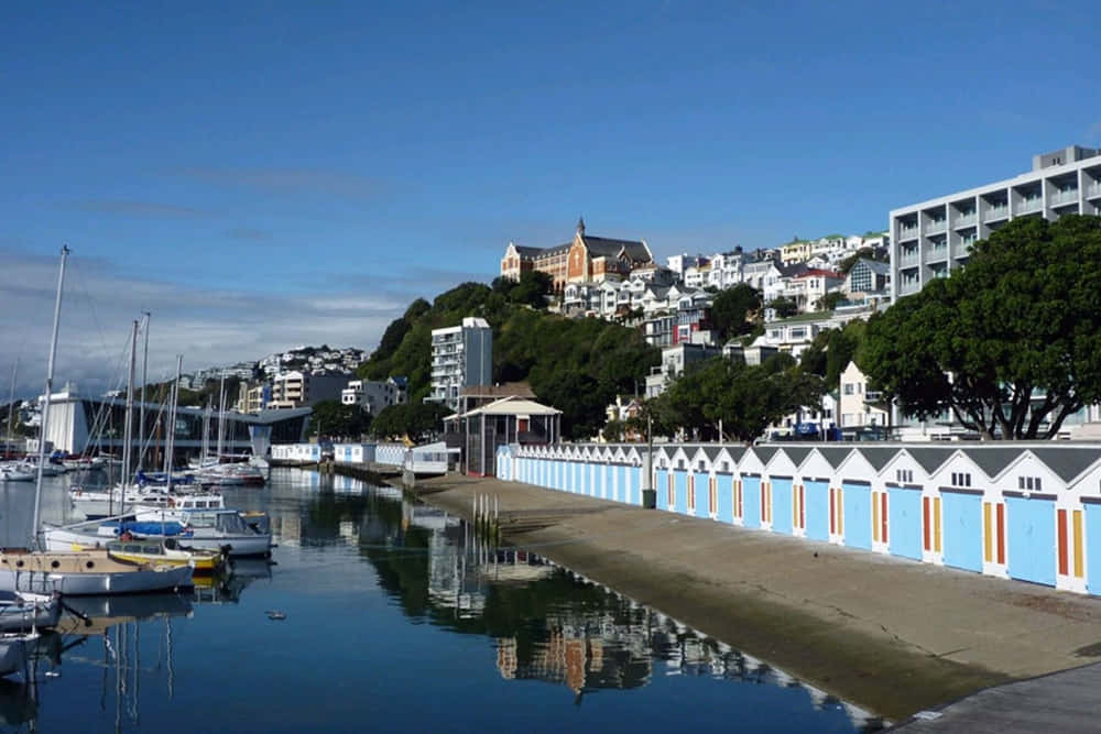 Wellington Waterfront Boathousesand Yachts Wallpaper