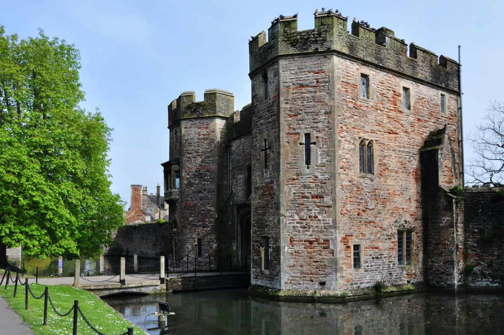 Wells Bishop's Palace Moatand Gatehouse Wallpaper