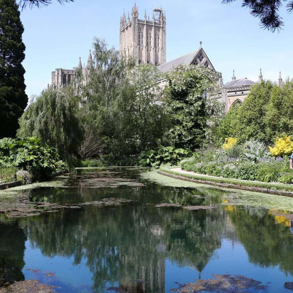 Wells Cathedral Reflection Garden Pond Wallpaper