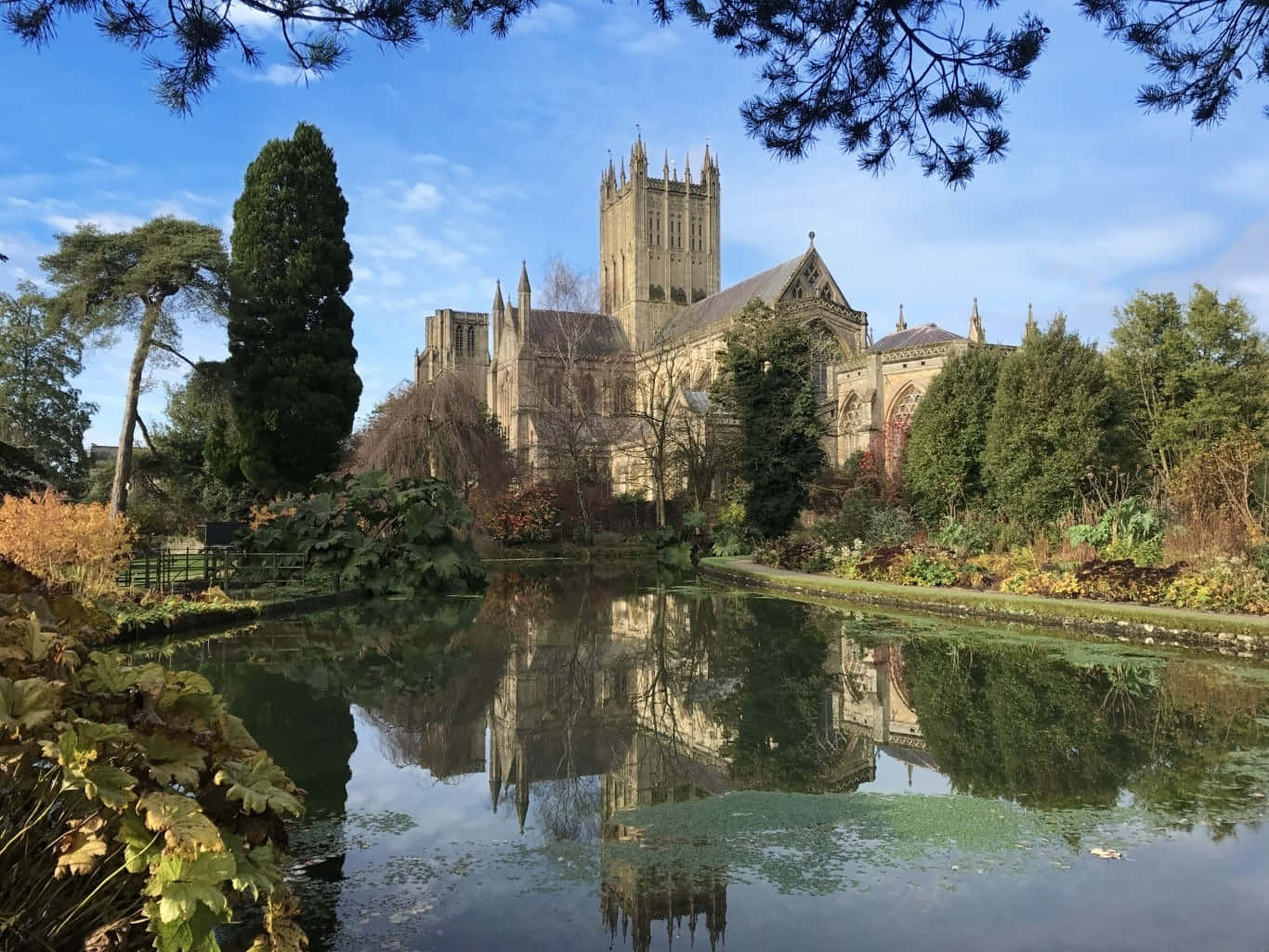 Wells Cathedral Reflections Wallpaper