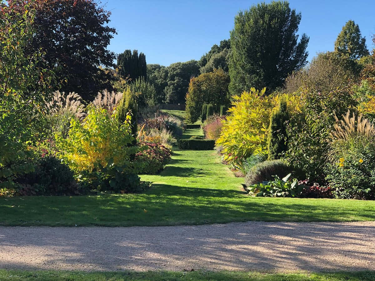 Wells Garden Pathway Sunshine Wallpaper