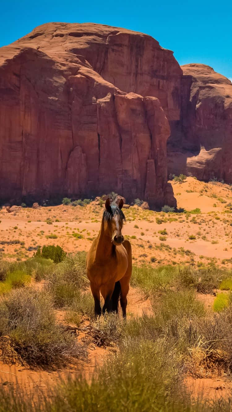 Western Cowboy Iphone 750 X 1334 Wallpaper