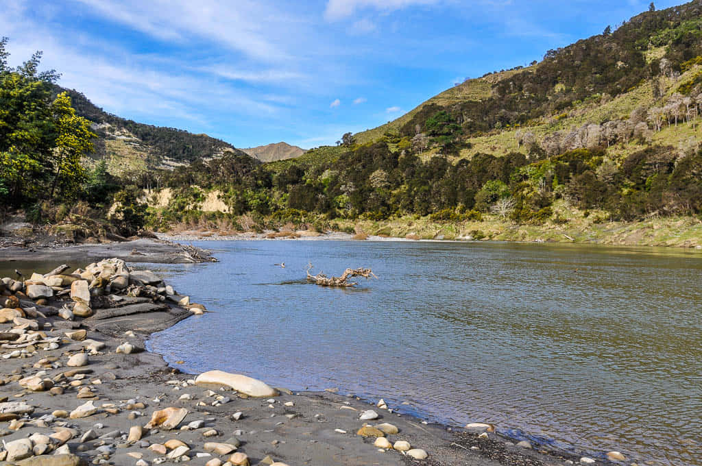 Whanganui River Scenic View New Zealand Wallpaper