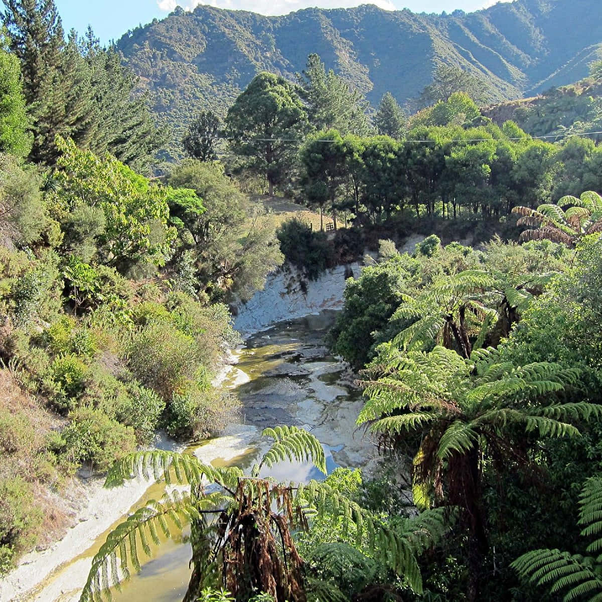 Whanganui River Valley New Zealand Wallpaper