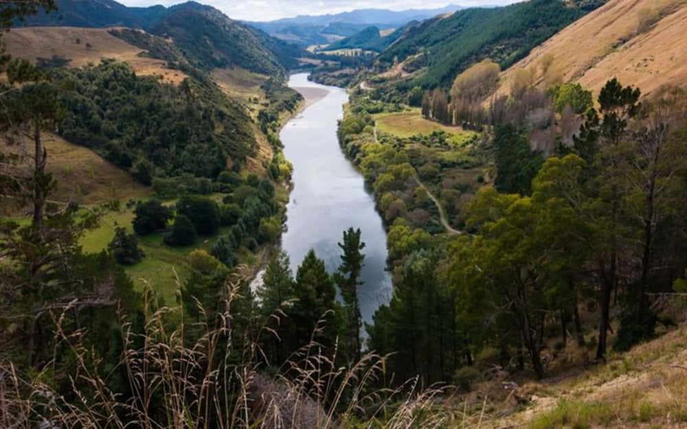 Whanganui River Valley New Zealand Wallpaper