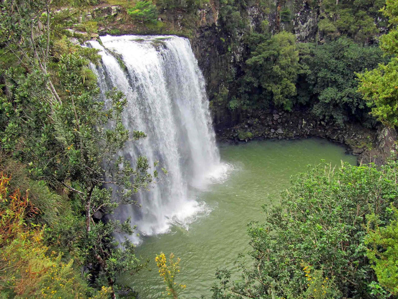 Whangarei_ Falls_ Scenic_ View_ New_ Zealand.jpg Wallpaper