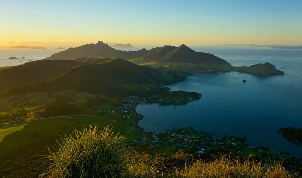 Whangarei Harbour Dawn View Wallpaper