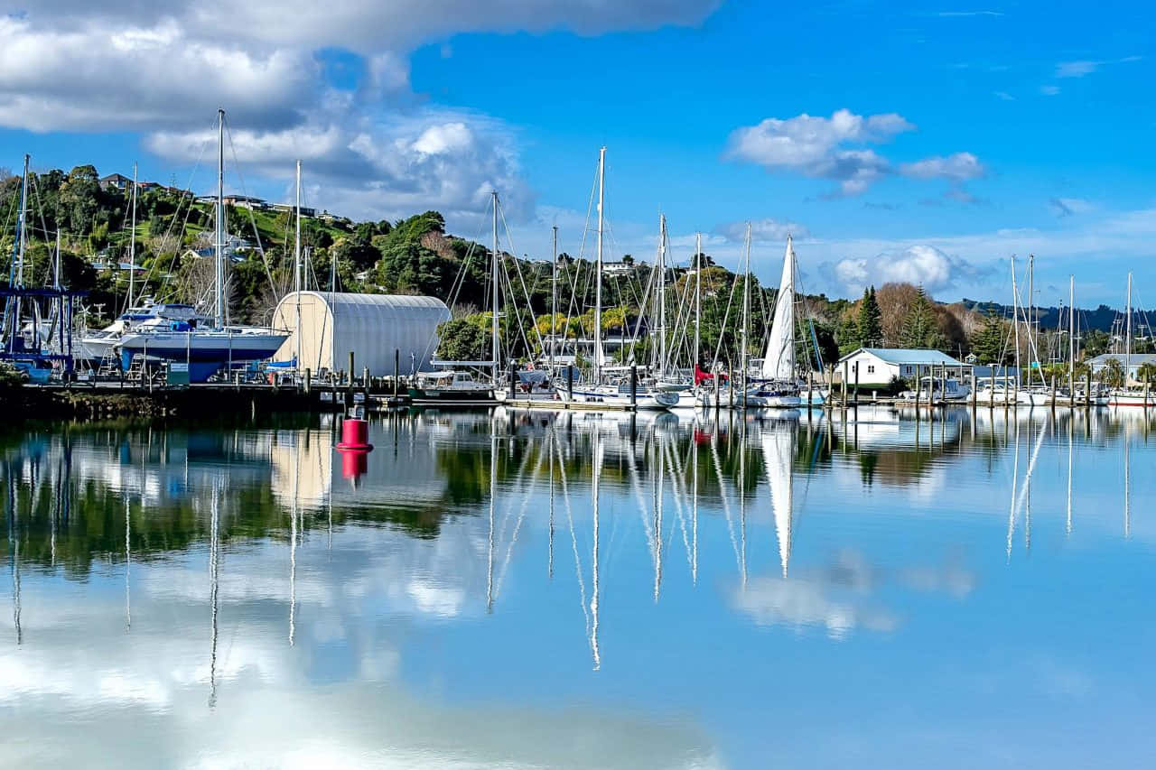 Whangarei Marina Serene Waters.jpg Wallpaper