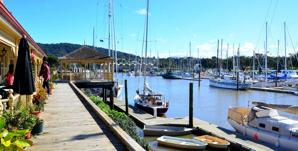 Whangarei Marina Sunny Day Wallpaper