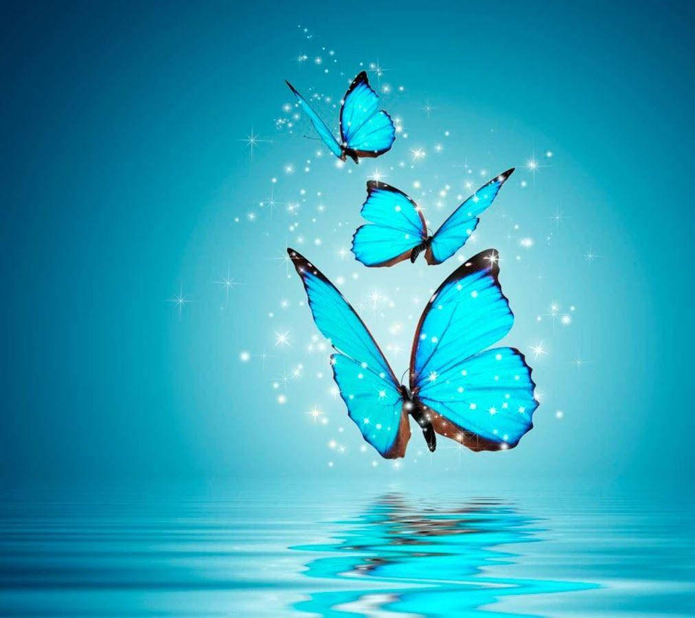 Whatsapp Dp Sparkling Butterflies Wallpaper