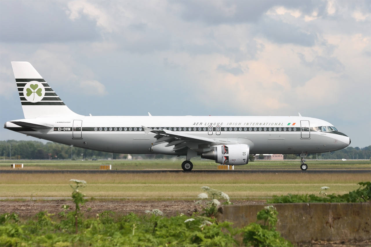 White And Black Aer Lingus Airplane Wallpaper