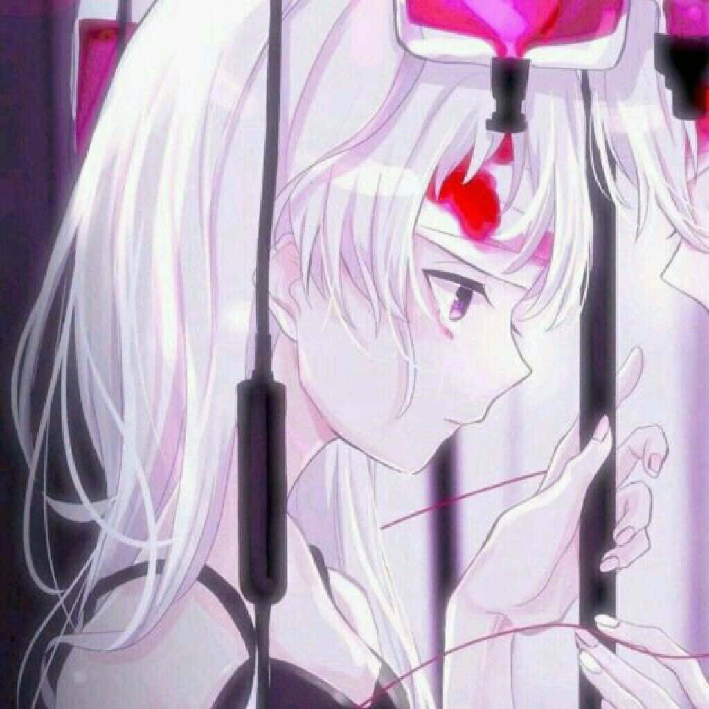 White Anime Girl Matching Couple Pfp Wallpaper