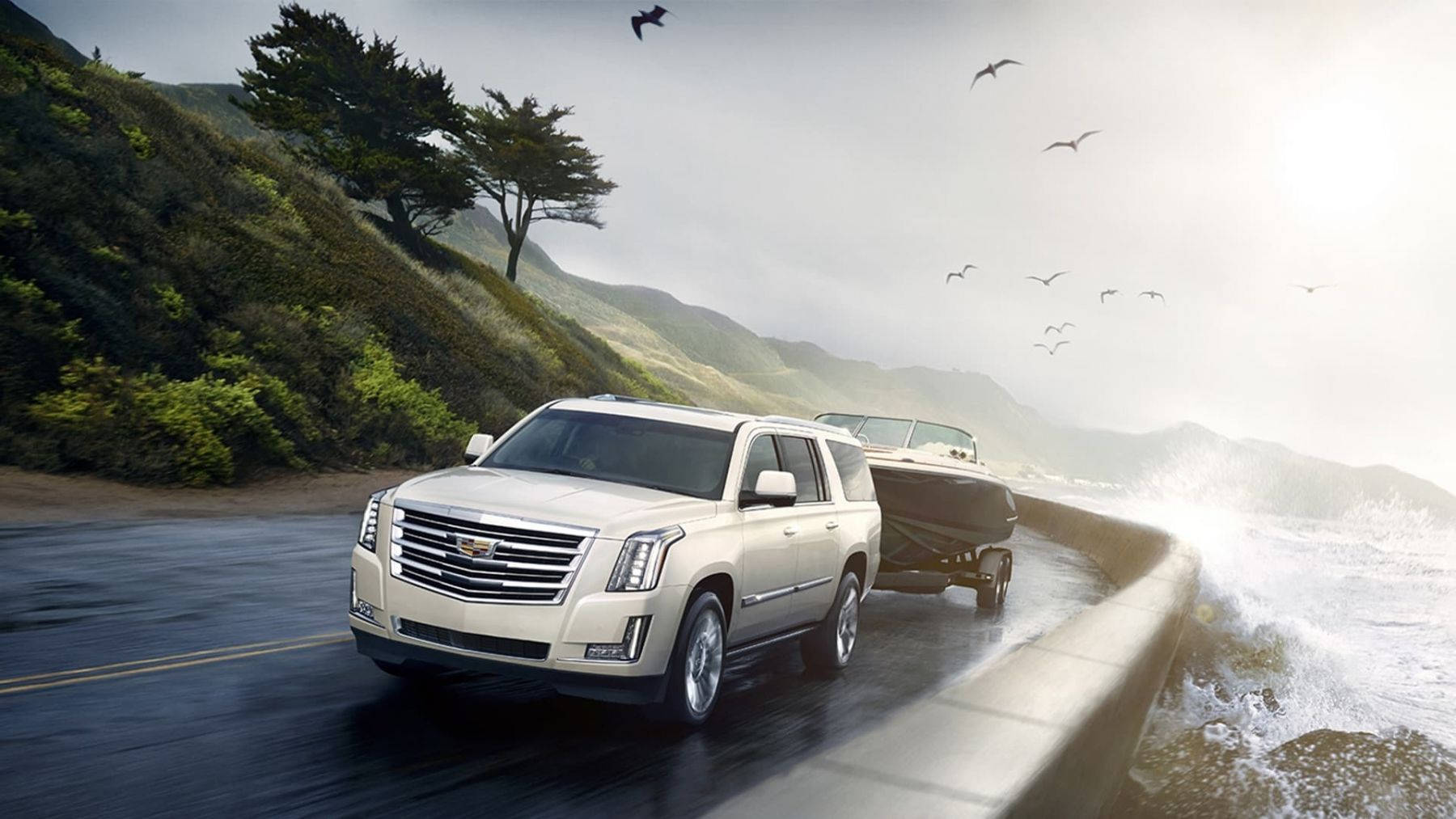 White Cadillac Escalade Wallpaper