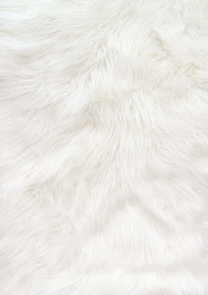 White Faux Fur Texture Wallpaper