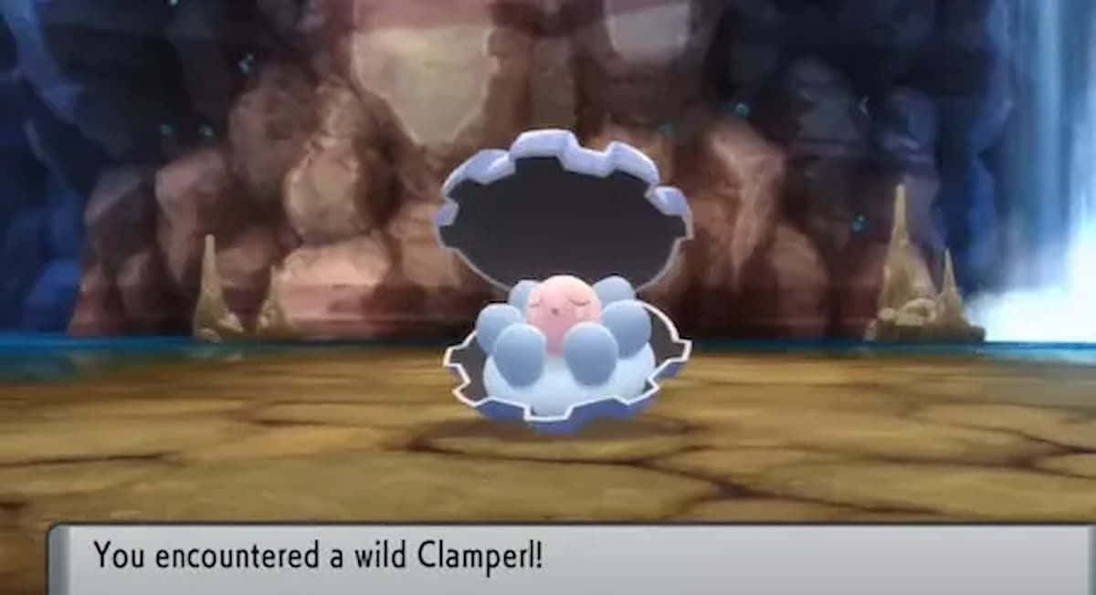 Wild Clamperl Encounter Wallpaper