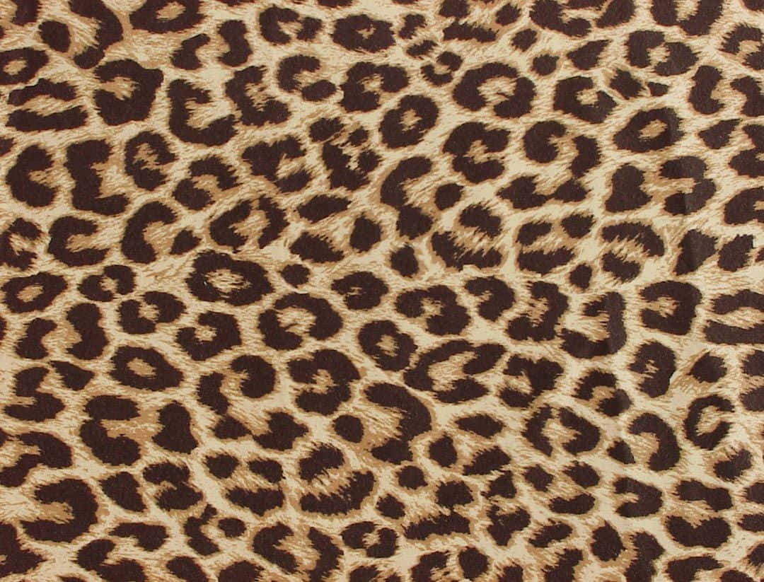 Wild Leopard Pattern Wallpaper