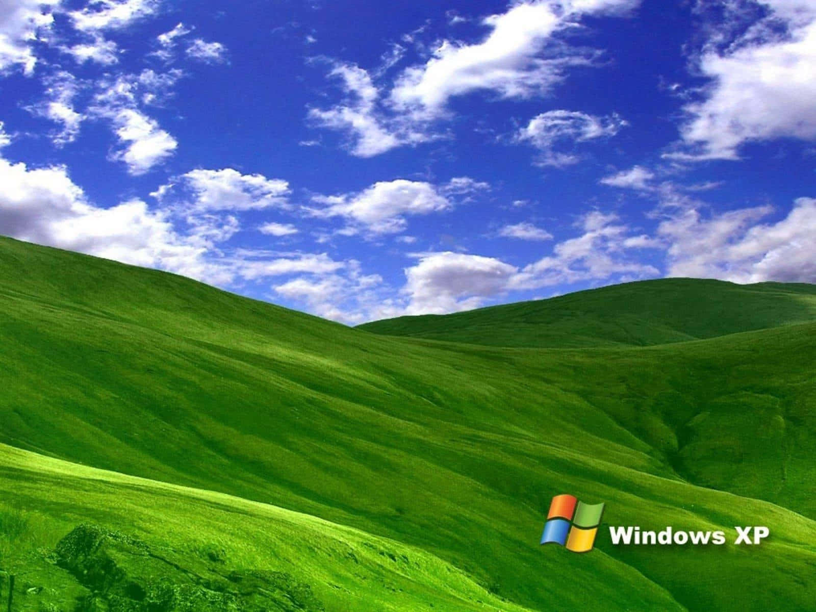 Windows Xp Logo Wallpaper