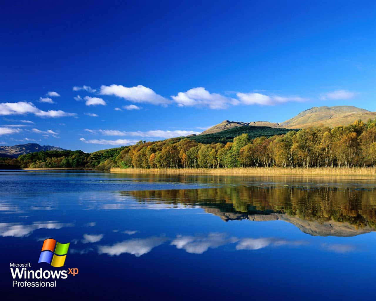 Windows Xp Logo Wallpaper