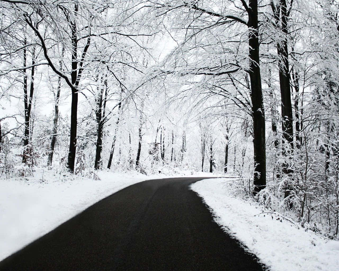 Winter Adventure On An Icy Road Wallpaper